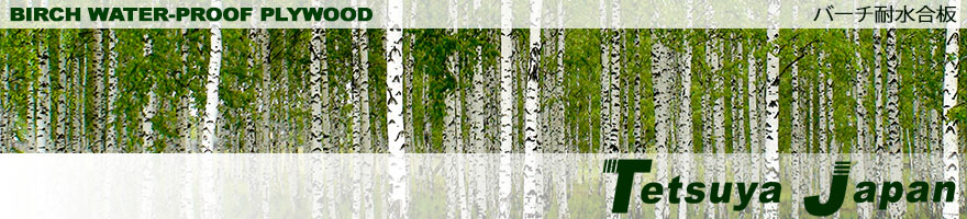 テツヤ・ジャパン